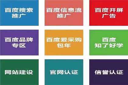 sem代运营机构成功案例：打造高效广告投放策略